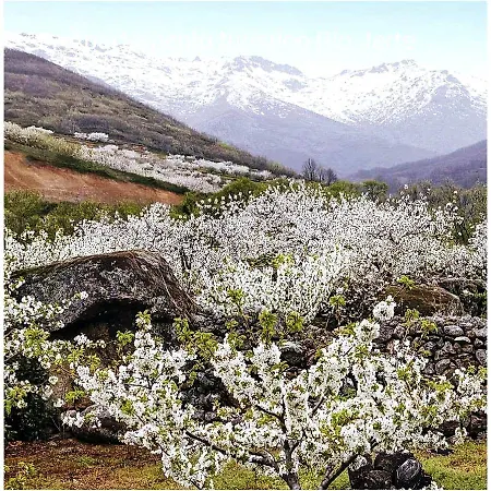 Turistico Rio Jerte דירה נבאקונסחו
