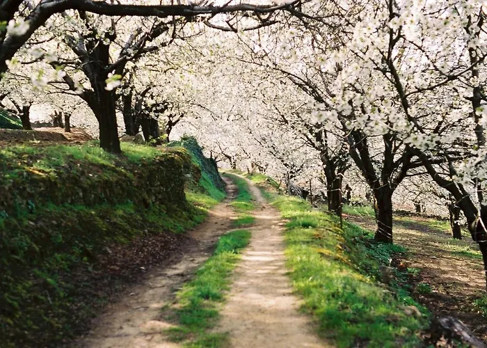 Turistico Rio Jerte Apartamento Navaconcejo
