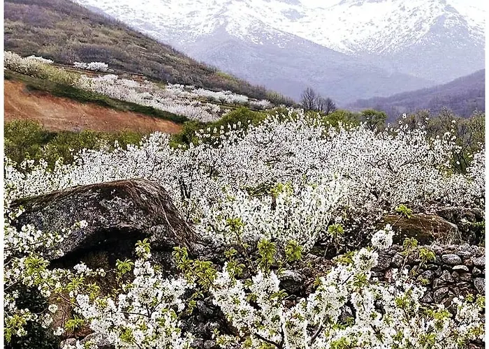 Turistico Rio Jerte Apartamento Navaconcejo